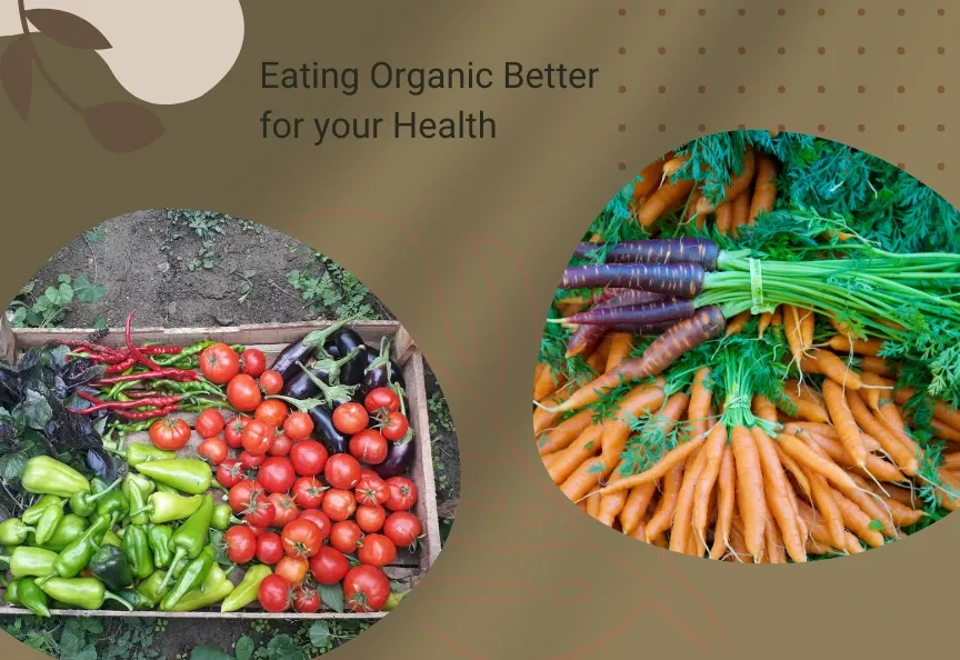 Is Eating Organic Better for your Health?